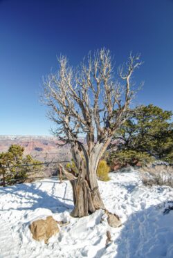 Grand Canyon National Park