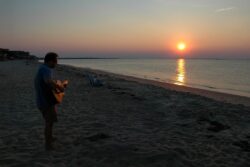 Sunset on Shore Drive