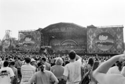 Woodstock 94 - Mosh Pit