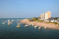 Duck In - The Last Night