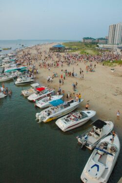 Duck In - The Last Friday