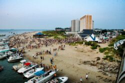 Duck In - The Last Friday