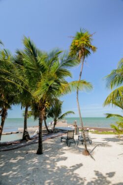 Random Spot in Key West