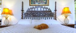 The Life, Lounging on Hemingway's Bed